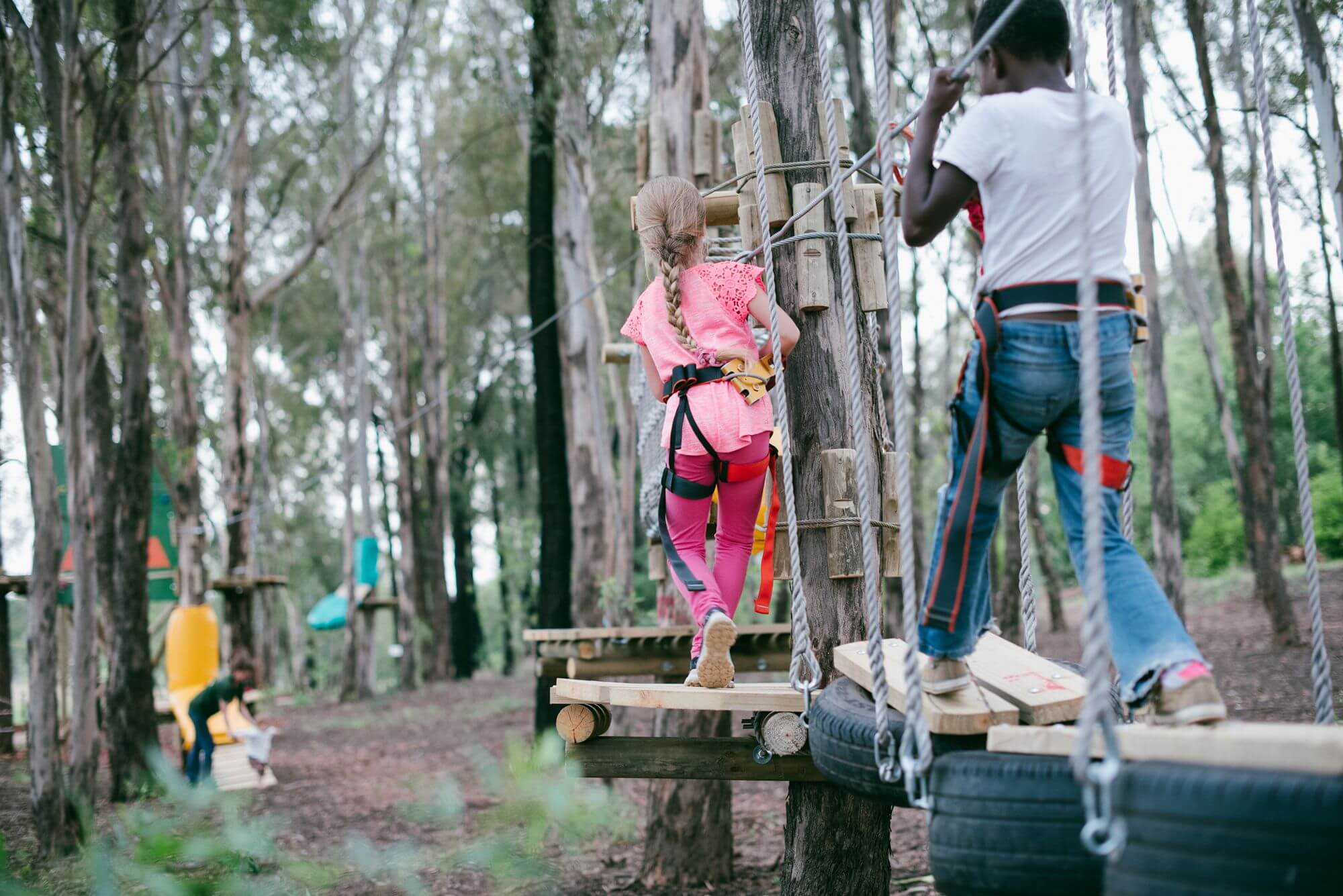 Go on a Treetop Adventure at Acrobranch Huddle Park